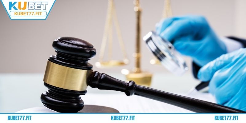 Điều khoản điều kiện KUBET77 có vai trò cực quan trọng